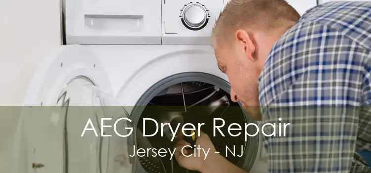 AEG Dryer Repair Jersey City - NJ