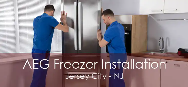 AEG Freezer Installation Jersey City - NJ