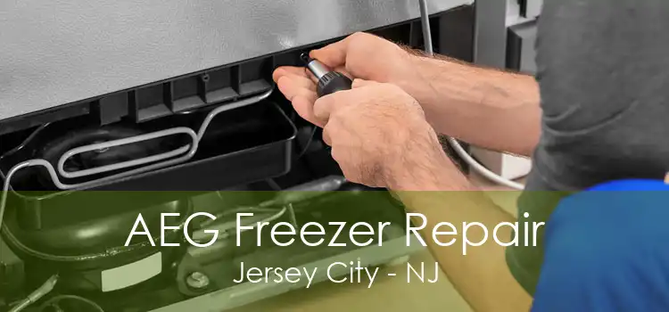 AEG Freezer Repair Jersey City - NJ