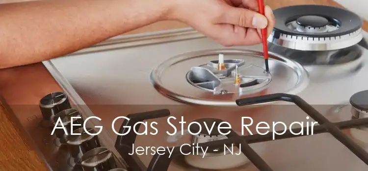 AEG Gas Stove Repair Jersey City - NJ