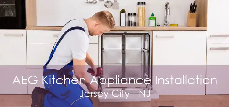 AEG Kitchen Appliance Installation Jersey City - NJ