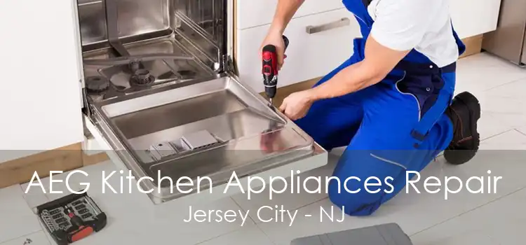 AEG Kitchen Appliances Repair Jersey City - NJ