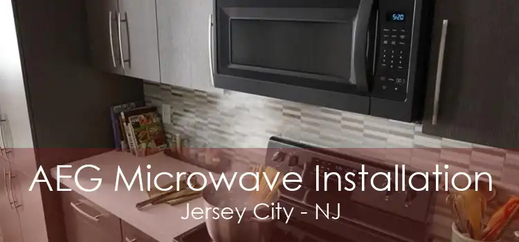 AEG Microwave Installation Jersey City - NJ