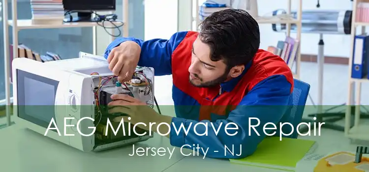 AEG Microwave Repair Jersey City - NJ