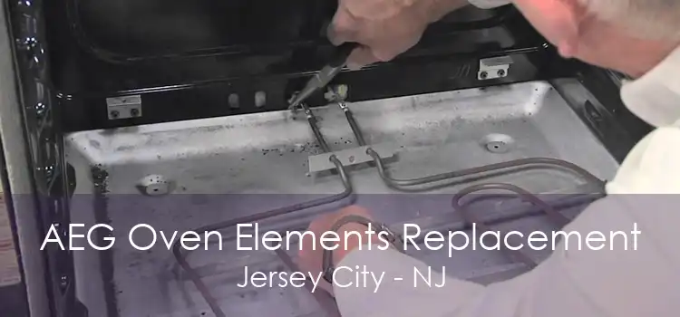 AEG Oven Elements Replacement Jersey City - NJ