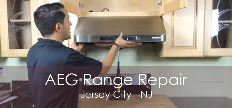 AEG Range Repair Jersey City - NJ