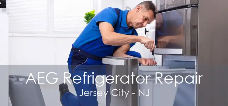 AEG Refrigerator Repair Jersey City - NJ