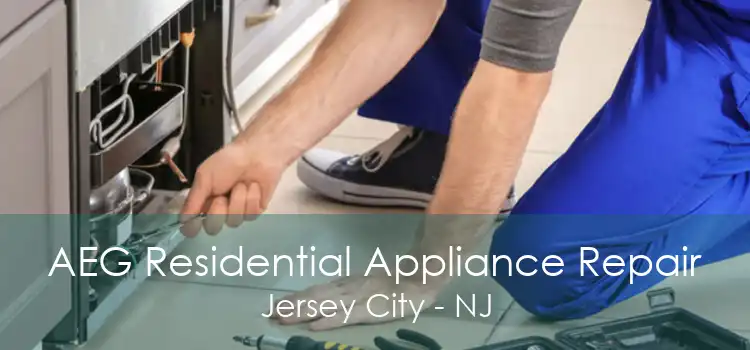 AEG Residential Appliance Repair Jersey City - NJ