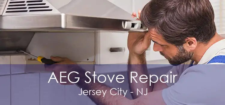 AEG Stove Repair Jersey City - NJ