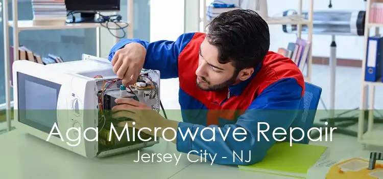 Aga Microwave Repair Jersey City - NJ