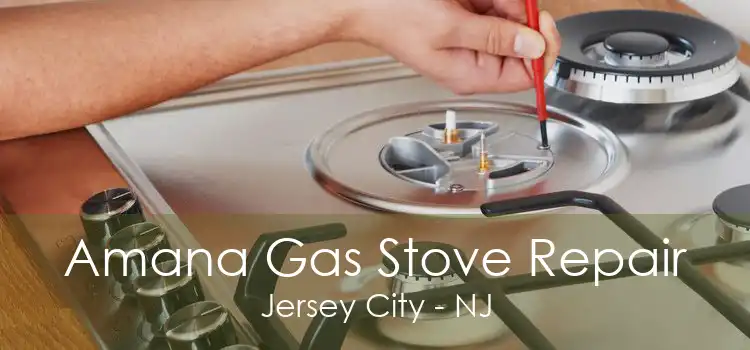 Amana Gas Stove Repair Jersey City - NJ