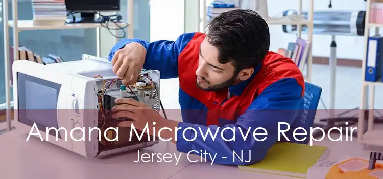 Amana Microwave Repair Jersey City - NJ