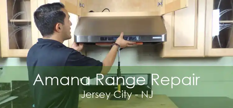 Amana Range Repair Jersey City - NJ