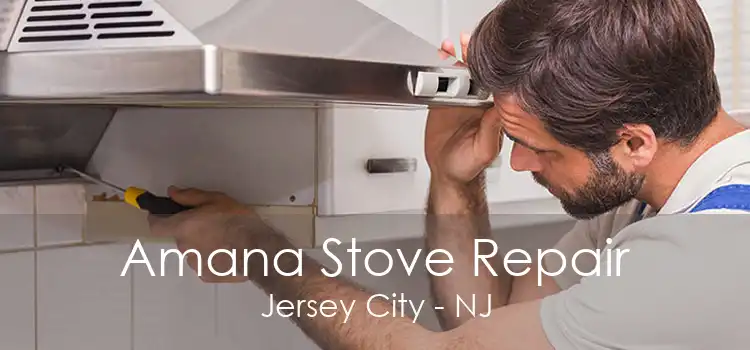 Amana Stove Repair Jersey City - NJ