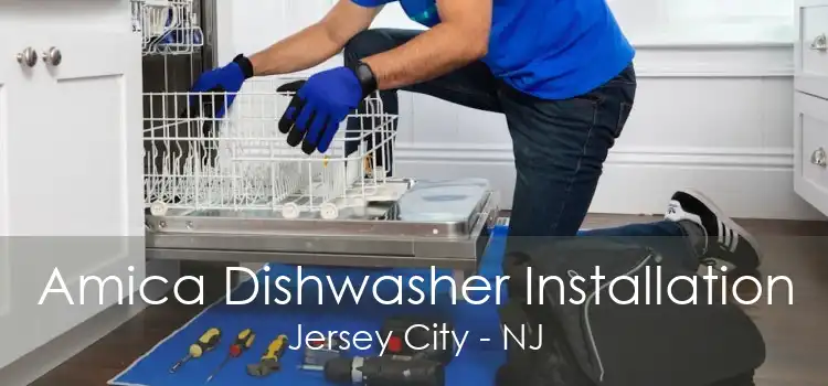 Amica Dishwasher Installation Jersey City - NJ