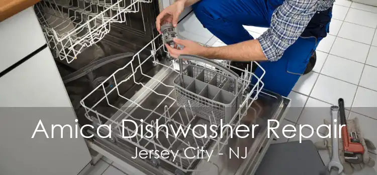 Amica Dishwasher Repair Jersey City - NJ