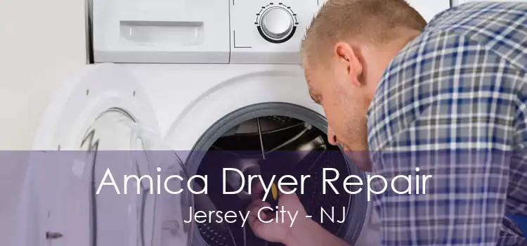 Amica Dryer Repair Jersey City - NJ