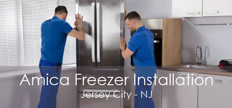 Amica Freezer Installation Jersey City - NJ