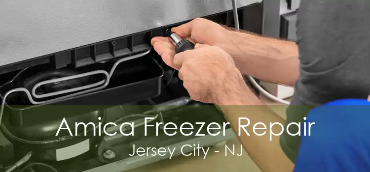 Amica Freezer Repair Jersey City - NJ