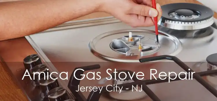 Amica Gas Stove Repair Jersey City - NJ