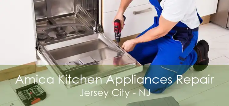 Amica Kitchen Appliances Repair Jersey City - NJ