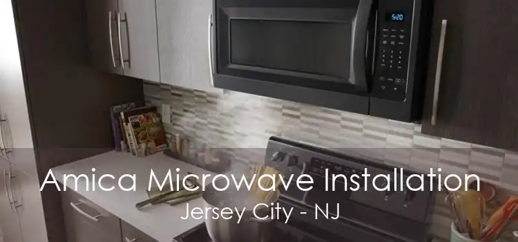 Amica Microwave Installation Jersey City - NJ