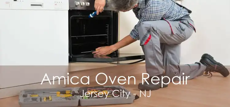 Amica Oven Repair Jersey City - NJ