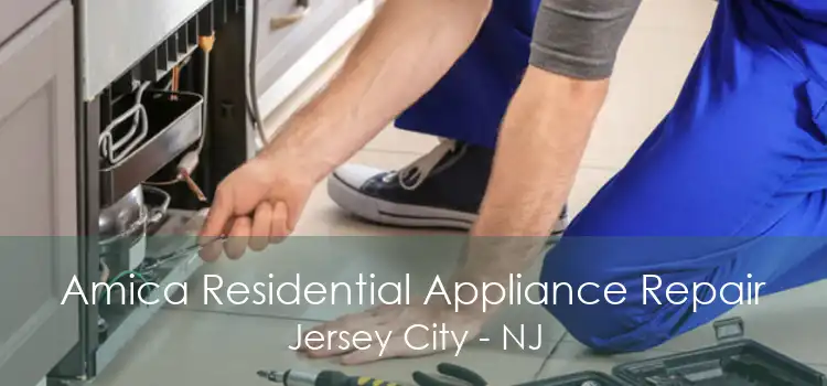 Amica Residential Appliance Repair Jersey City - NJ