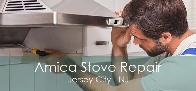 Amica Stove Repair Jersey City - NJ