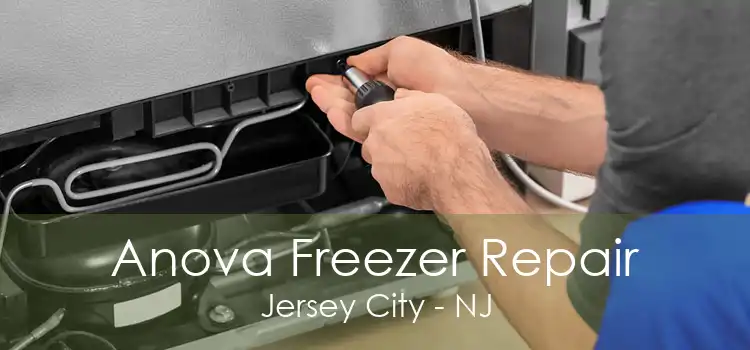 Anova Freezer Repair Jersey City - NJ