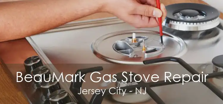 BeauMark Gas Stove Repair Jersey City - NJ