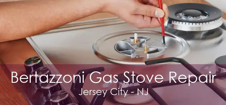 Bertazzoni Gas Stove Repair Jersey City - NJ