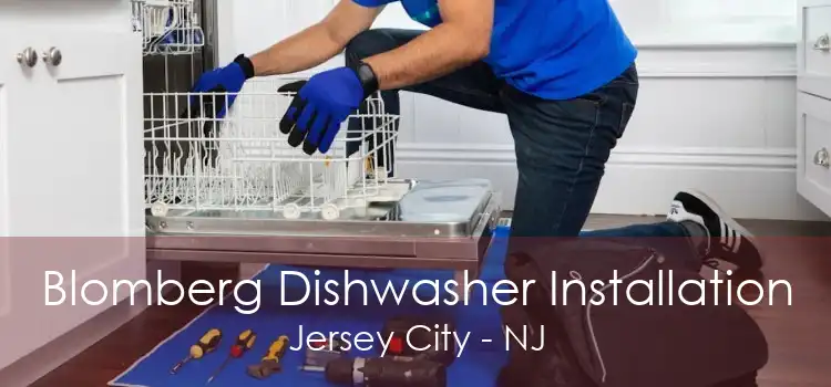 Blomberg Dishwasher Installation Jersey City - NJ