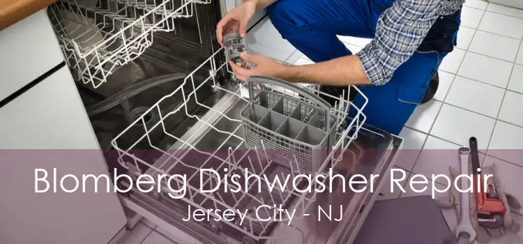 Blomberg Dishwasher Repair Jersey City - NJ