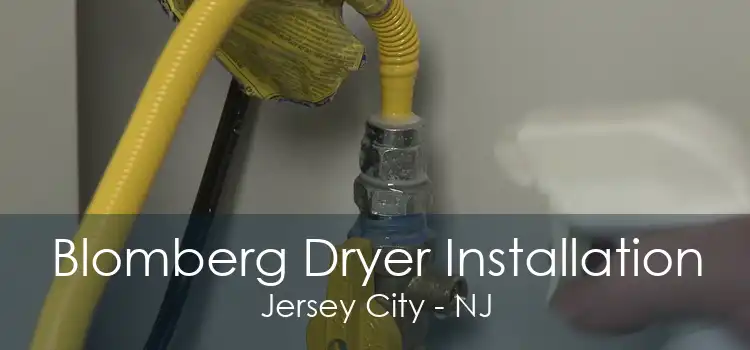 Blomberg Dryer Installation Jersey City - NJ