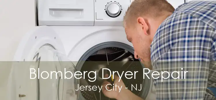 Blomberg Dryer Repair Jersey City - NJ