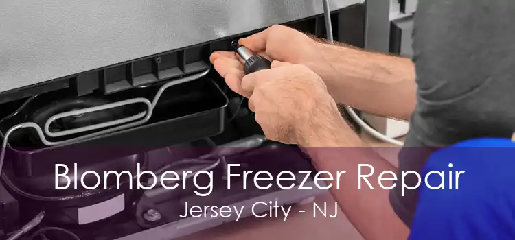 Blomberg Freezer Repair Jersey City - NJ