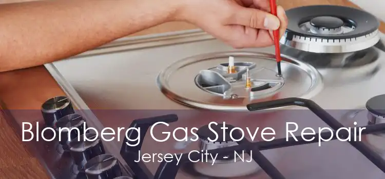 Blomberg Gas Stove Repair Jersey City - NJ