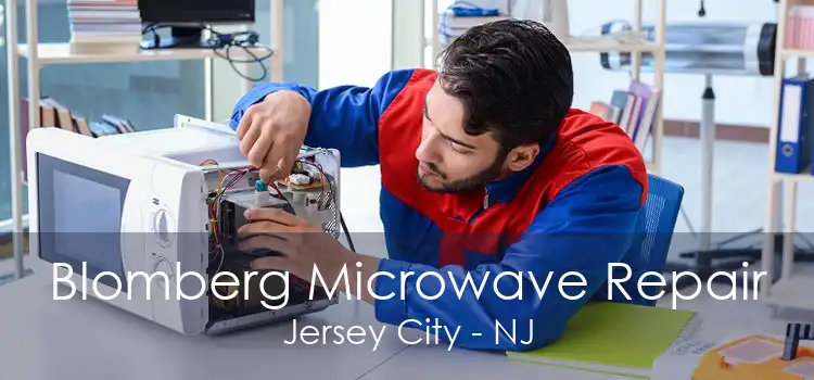 Blomberg Microwave Repair Jersey City - NJ