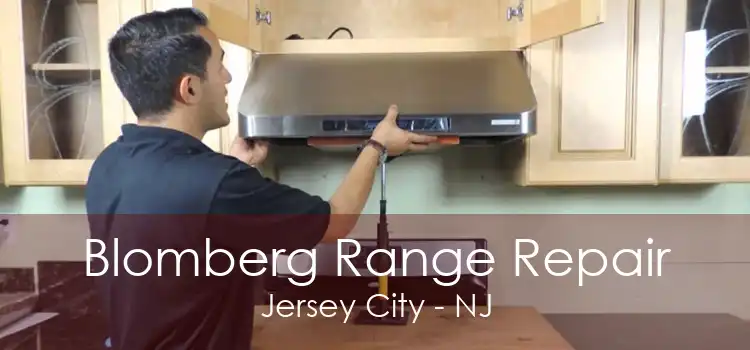 Blomberg Range Repair Jersey City - NJ