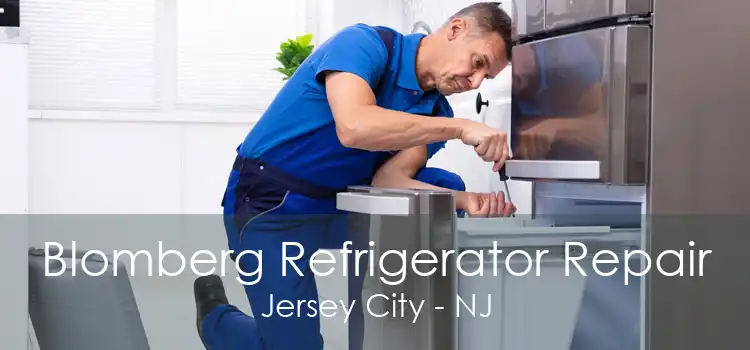 Blomberg Refrigerator Repair Jersey City - NJ