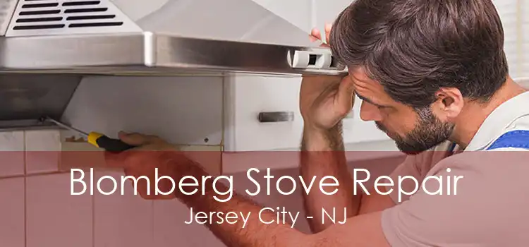 Blomberg Stove Repair Jersey City - NJ