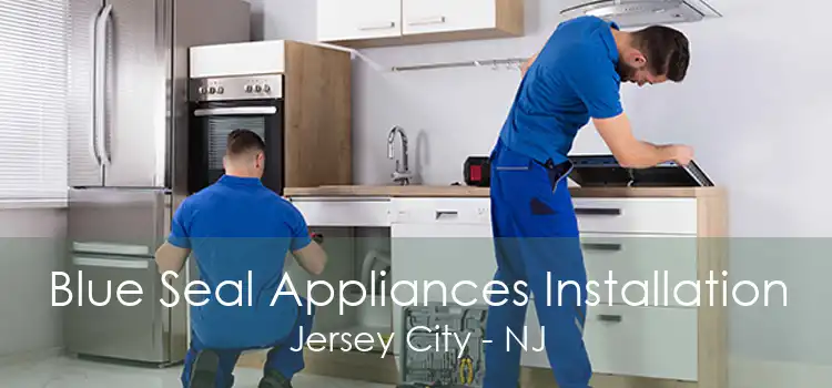 Blue Seal Appliances Installation Jersey City - NJ