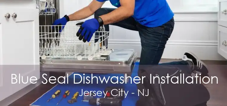 Blue Seal Dishwasher Installation Jersey City - NJ