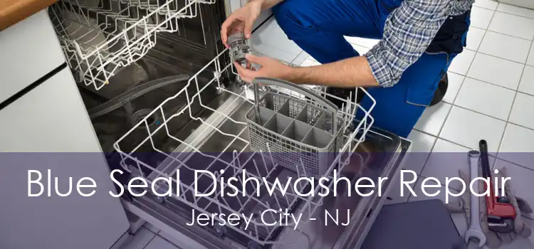 Blue Seal Dishwasher Repair Jersey City - NJ