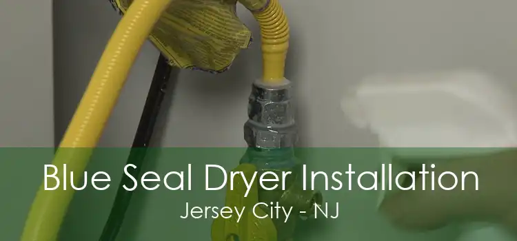 Blue Seal Dryer Installation Jersey City - NJ