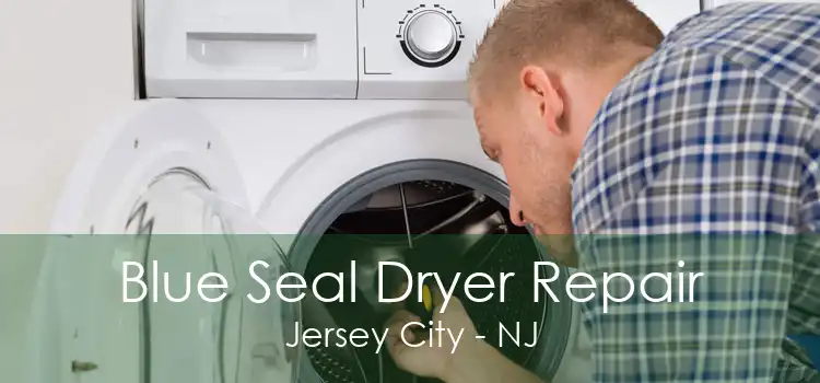 Blue Seal Dryer Repair Jersey City - NJ