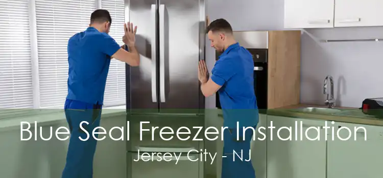 Blue Seal Freezer Installation Jersey City - NJ