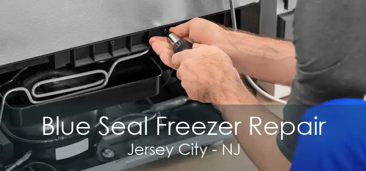 Blue Seal Freezer Repair Jersey City - NJ