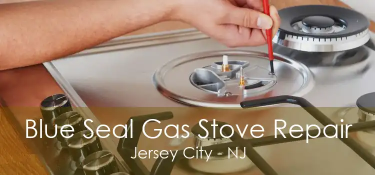 Blue Seal Gas Stove Repair Jersey City - NJ